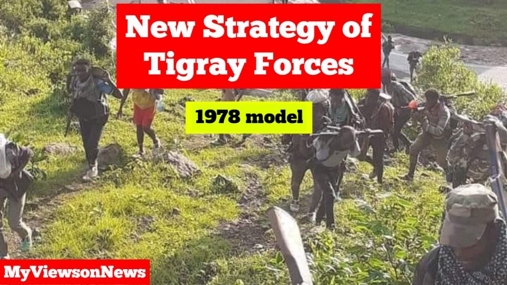 Tigray news