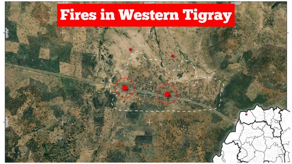 tigray