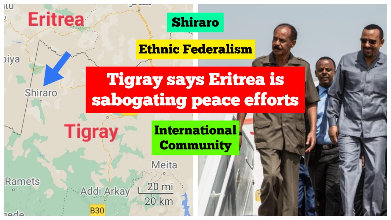 Tigray Eritrea