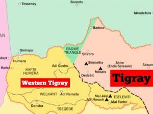 Tigray Amhara