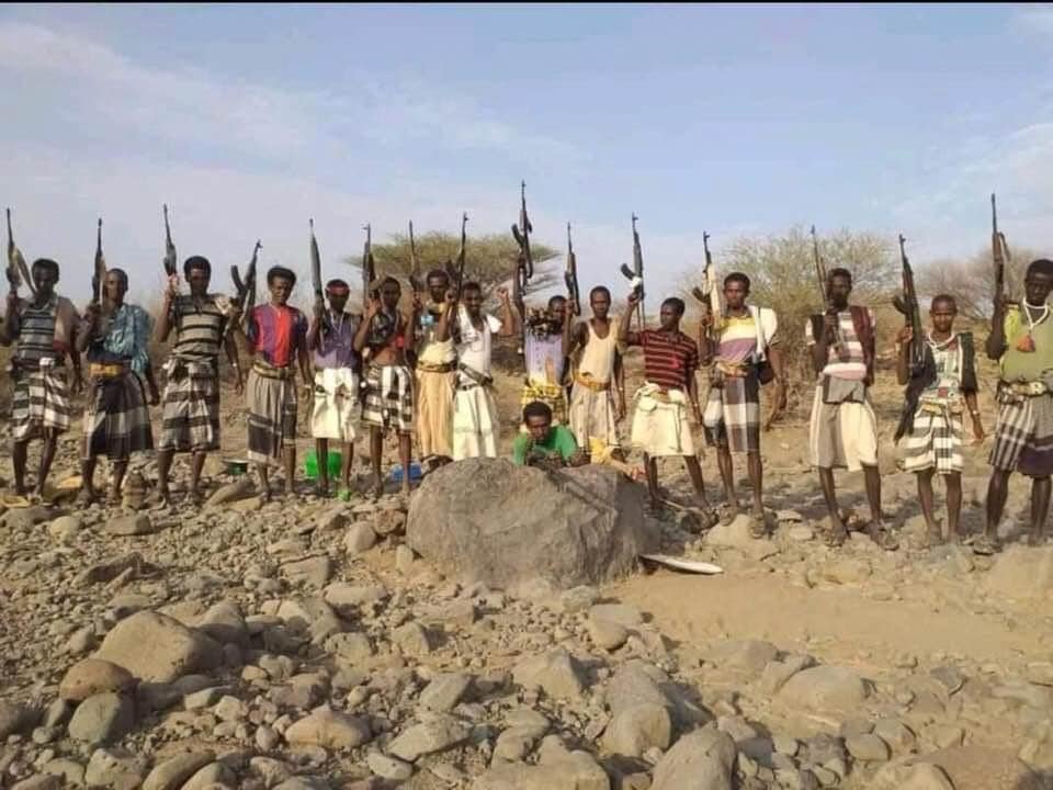 TPLF Afar