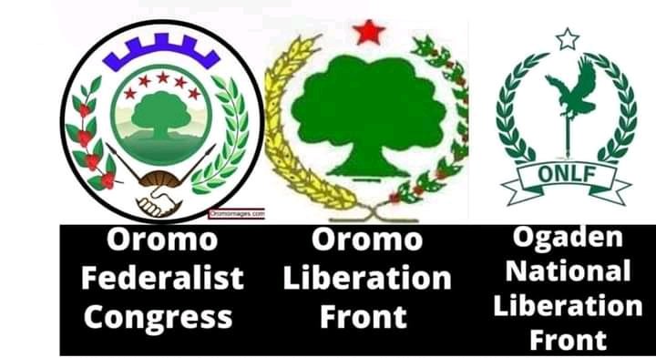 Ethiopian political parties 
