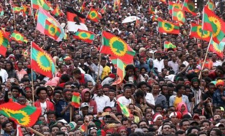 Ethiopian political parties