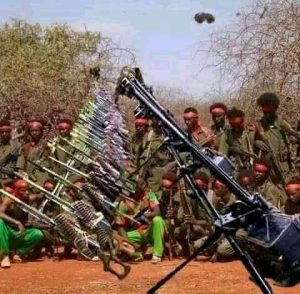 Orom Liberation Army Kenya