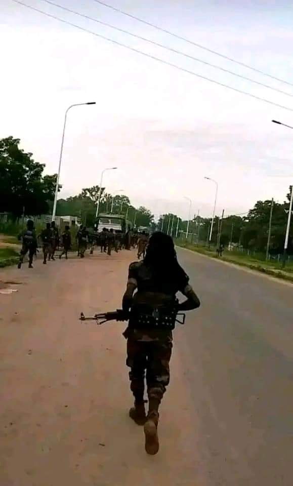 Ethiopian armed group OLA