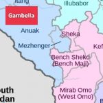 Curfew imposed in Gambella region of Ethiopia