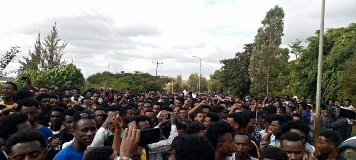 Oromo student protests 