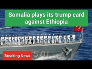 Somalia Signed a Strategic Pact with Turkey to Stop Ethiopia