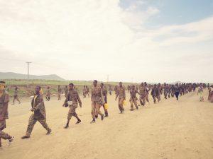 ENDF Tigray
