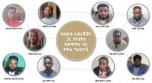 Fano fighters