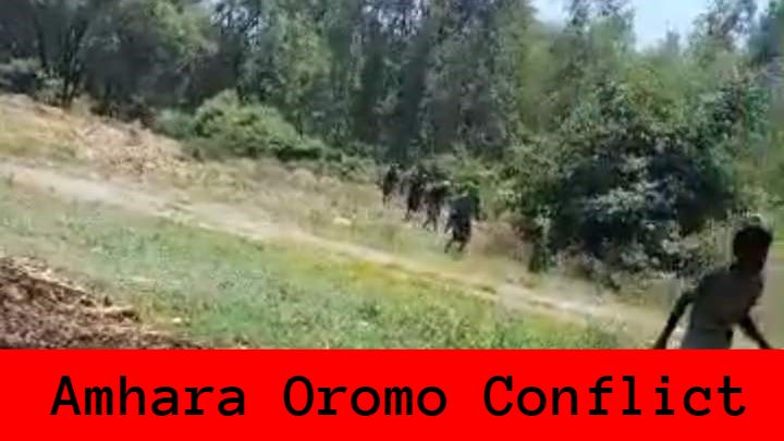 amhara oromo conflict