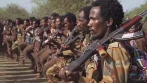 oromo liberation army