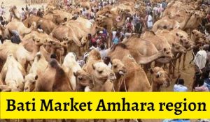 bati market amhara