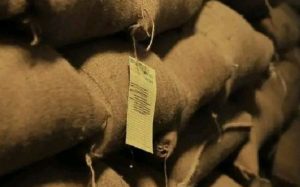 Ethiopia coffee