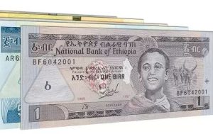 Ethiopian currency