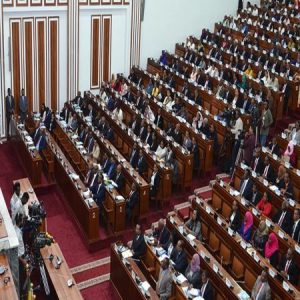 Ethiopian government