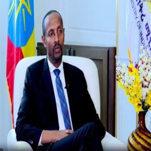 Ethiopian minister praises Ethiopia Tamirt initiative