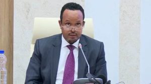 Ethiopian Finance Minister Birr