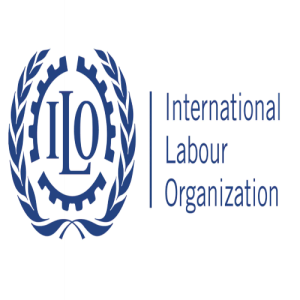 International Labour Organization