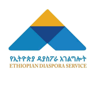 role of ethiopian diaspora in economy