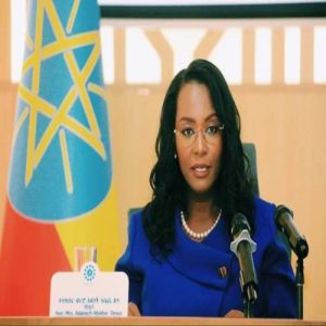 addis ababa mayor shared the foreign tourism report
