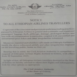 ethiopian airlines flights suspended