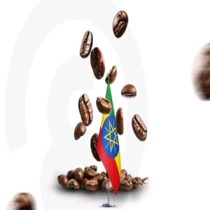 red sea attack delayed the ethiopian coffee exports