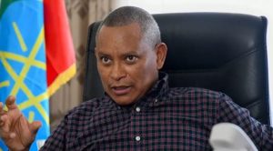 Ethiopian federal govt TPLF