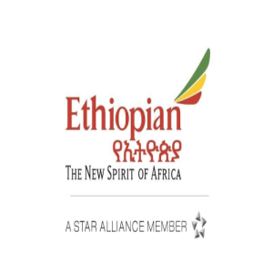 ethiopian airlines flights disrupted due to fog