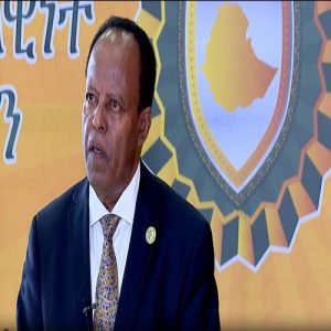 Ethiopia's Foreign Minister, Ambassador Taye Atskeselassie