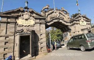 Addis Ababa University