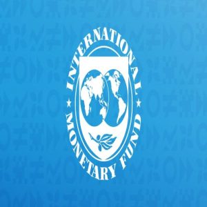 Ethiopia seeks IMF support
